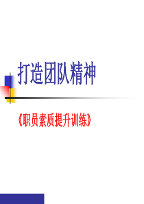 企业管理-团队建设