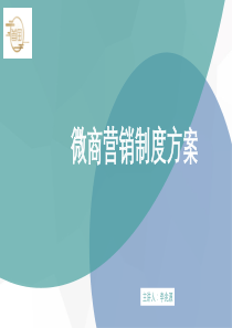 微商营销制度方案演示稿(1)