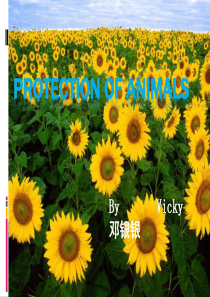 Protection-of-animals--PPT