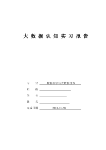 大数据专业实习报告