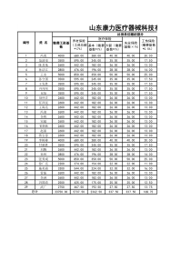 员工社保缴费明细表