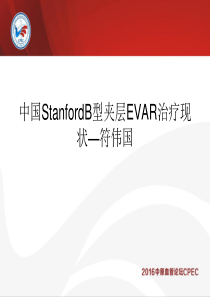 中国StanfordB型夹层EVAR治疗现状—符伟国