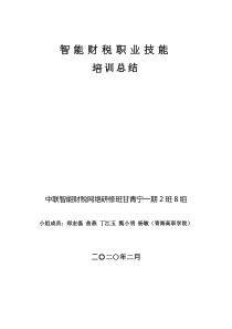 智能财税职业技能培训总结(智能财税网络研修甘青宁一期2班8组)