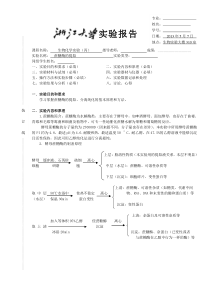 蔗糖酶的提取