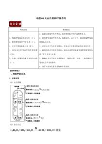 高考卷 20届高考生物 专题08 光合作用和呼吸作用（原卷版）