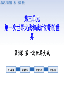 九年级历史下册课件第一次世界大战