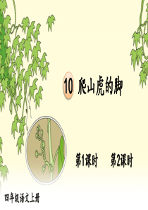 部编人教版四年级语文上册《10-爬山虎的脚》优秀PPT课件