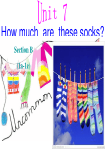 How-much-are-these-socks-section-b