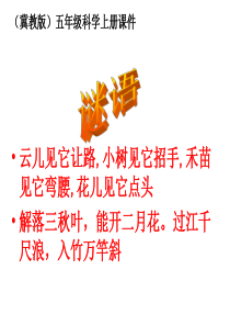 《风的形成》