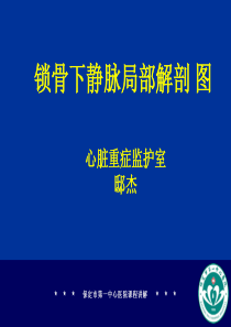 锁骨下静脉立体解剖图