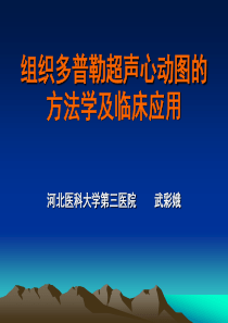 组织多普勒超声心动图的方法学及临床应用