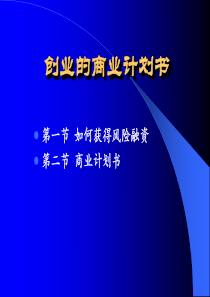 创业的商业计划书(2)