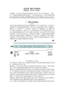 危机管理--钢铁行业资源危机