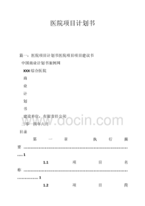 医院项目计划书