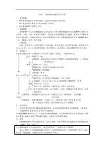 实验---观察植物细胞的有丝分裂