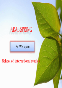 阿拉伯之春Arab-spring