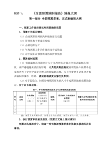 全面预算编制报告编报大纲