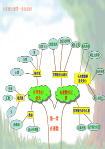 七年级数学知识树