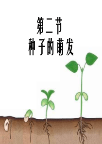 初中生物七年级《种子的萌发》公开课优秀课件