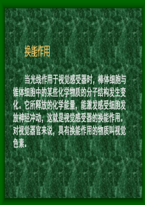 普通心理学(北师大精品课程)12