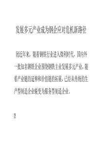 发展多元产业成为钢企应对危机新路径