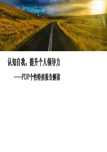 个性特质测评-PDP解读ppt