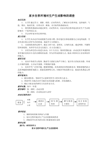 初一年研究性学习教案