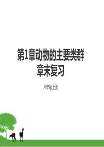 部编人教版八年级上册生物第1章动物的主要类群-复习课件