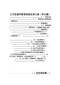 公司发展和管理体制改革方案