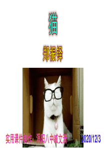 《猫》实用课件