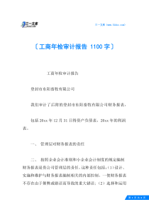 工商年检审计报告-1100字