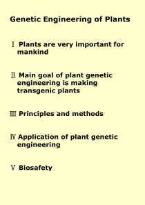 (完整版)植物基因工程