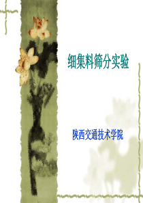 细集料筛分试验