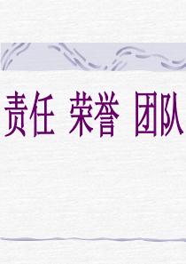 团队、荣誉和责任