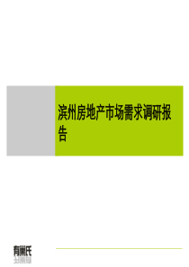 滨州房地产市场调查报告