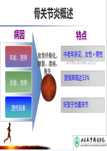 膝关节骨关节炎循证医学指南解读