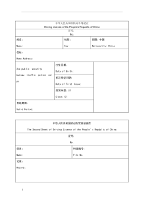 驾驶证翻译模板