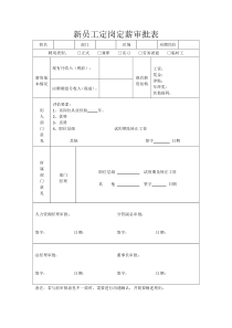 新员工定岗定薪审批表