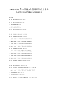 中国青少年篮球培训行业市场分析及投资前景研究预测报告