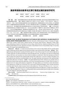 腕部掌侧桡动脉掌浅支横行微型皮瓣的解剖学研究