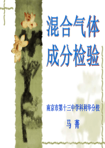 混合气体的检验