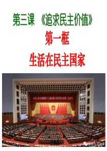 人教部编版道德与法治九年级上册-第三课第一框-生活在新型民主国家(共24张PPT)