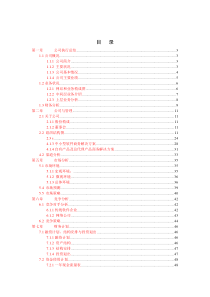 北京天下网讯公司商业计划书修订版