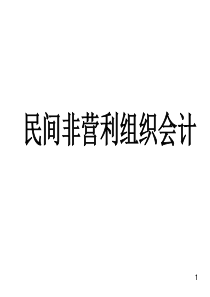 民间非营利组织会计