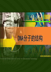 DNA分子的结构PPT课件