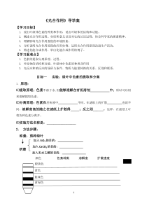 光合作用导学案