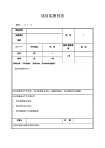 项目实施日志