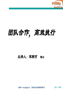 团队合作,高效执行(宋联可)