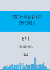 江苏省危大工程实施细则1029