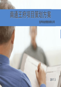 南通宝声广场.商业计划书（PDF38页）